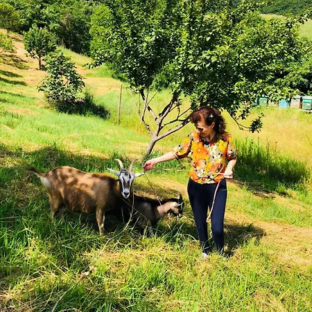 Agape Farmház Caprino Veronese