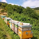 Agroturismo Agape - Panoramic Nature - Caprino Veronese