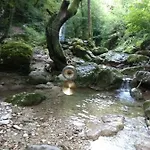 Agape - Panoramic Nature - *