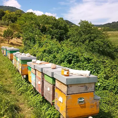 Çiftlik konaklama Agape - Panoramic Nature - Caprino Veronese