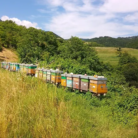 Çiftlik konaklama Agape - Panoramic Nature -