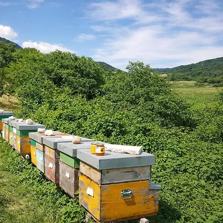Çiftlik konaklama Agape - Panoramic Nature - Caprino Veronese