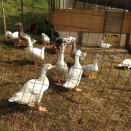 Agape مزرعة للإقامة *