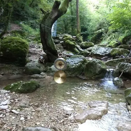 Agape - Panoramic Nature - *